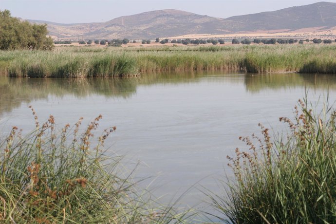 Parque Nacional de Las Tablas de Daimiel