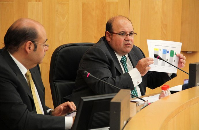 Pleno de la Diputación de Granada