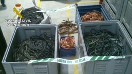 Robo de cobre en una empresa de la Ribera navara.