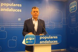 El secretario general del PP-A, José Luis Sanz, en rueda de prensa