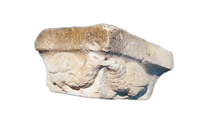 Piedra de los pájaros, encontrada en Forcall (Castellón)