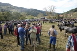 La consejera en Cieza