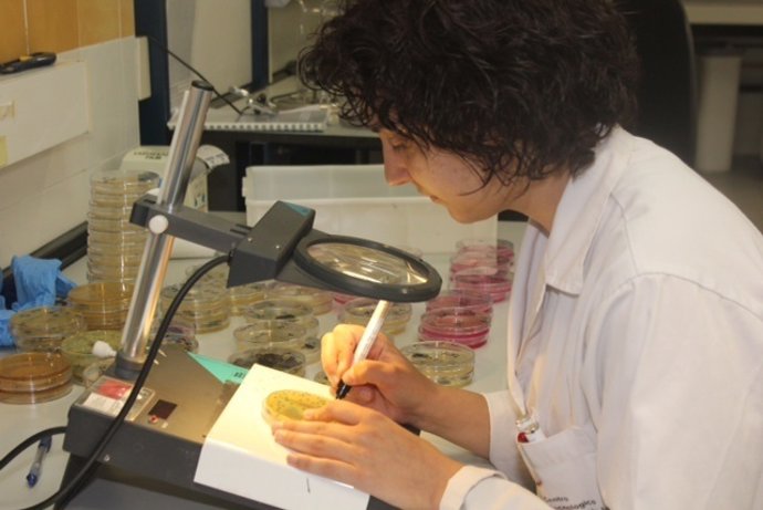 Técnico del laboratorio analiza muestras de alimentos