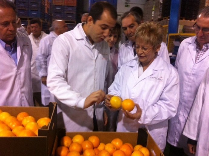 Víboras (dcha.) en la empresa citrícola