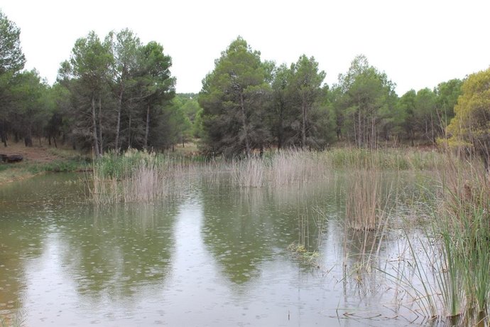 La comarca lidera la iniciativa