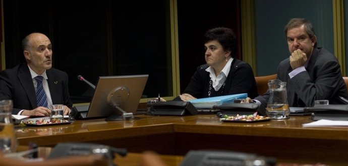 Comparecencia de Goirizelaia