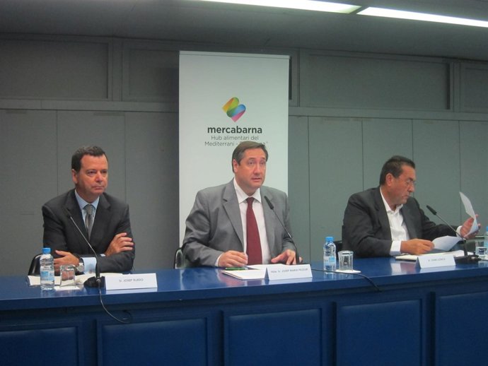 J.Tejedo, J.M.Pelegrí y J.Llonch