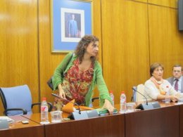 La consejera de Hacienda y Administración Pública, María Jesús Montero