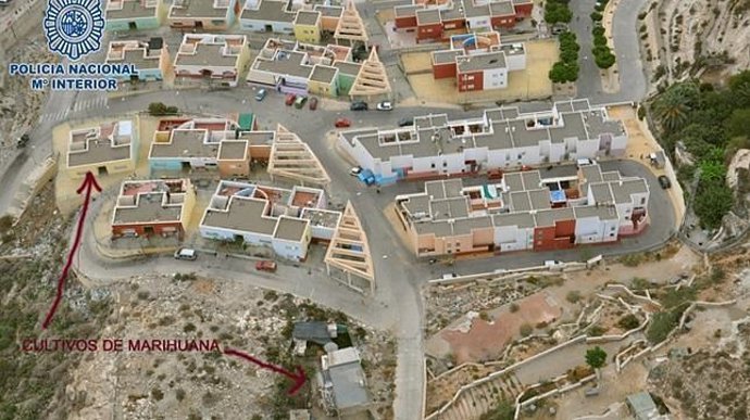 Imágenes aéreas del cultivo de marihuana