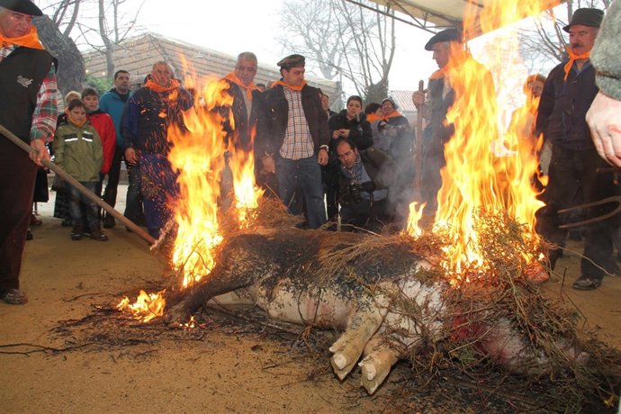 XIV matanza del cerdo