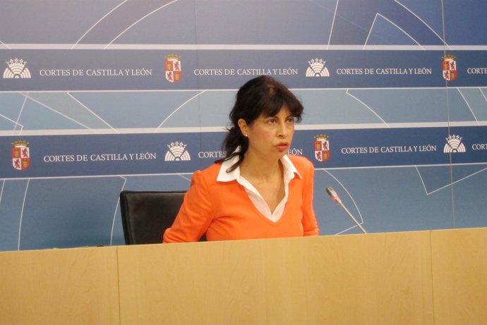 La viceportavoz del Grupo Parlamentaria Socialista, Ana Redonda