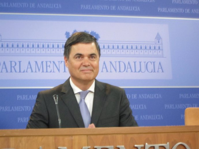 El portavoz del PP-A en el Parlamento, Carlos Rojas, hoy en rueda de prensa