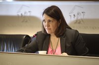 El PSOE dice que a estas alturas es "bastante patético" que el PP siga sosteniendo que Bárcenas iba por libre