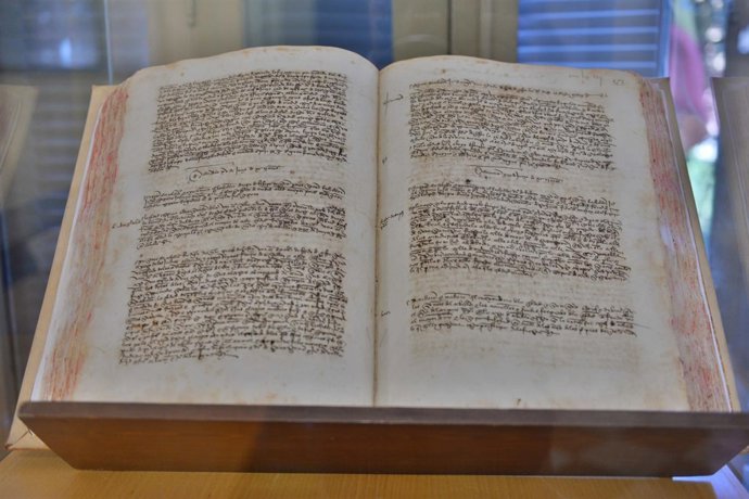 Libro sobre el origen de las fiestas malgueñas