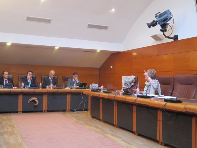 Comisión de Educación, Cultura y Deporte