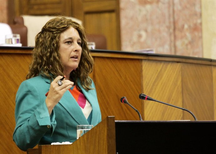 Cinta Castillo, en un reciente debate parlamentario