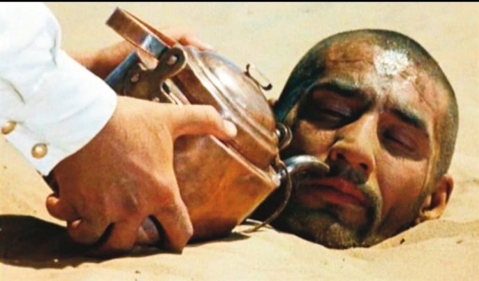 Imagen de 'Sol blanco del desierto'