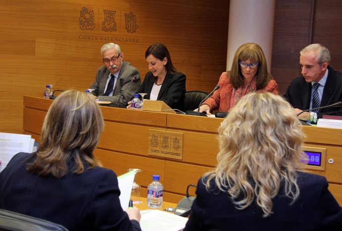 Català explicando los presupuestos de su Conselleria en las Corts