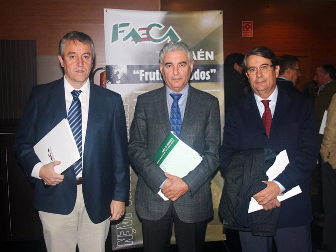 Cristóbal Gallego, Jerónimo Pérez y Pablo Carazo, en la jornada técnica.