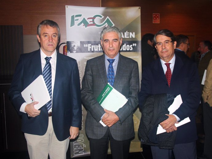 Cristóbal Gallego, Jerónimo Pérez y Pablo Carazo, en la jornada técnica.