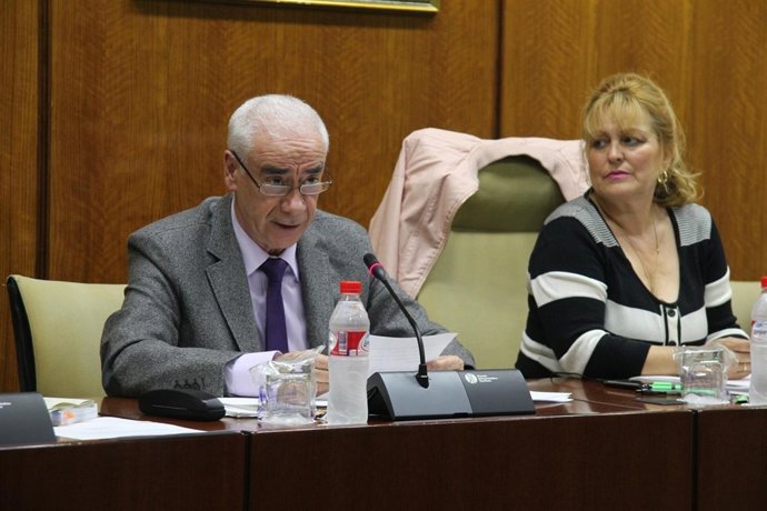 El consejero de Educación, Cultura y Deporte de la Junta, Luciano Alonso