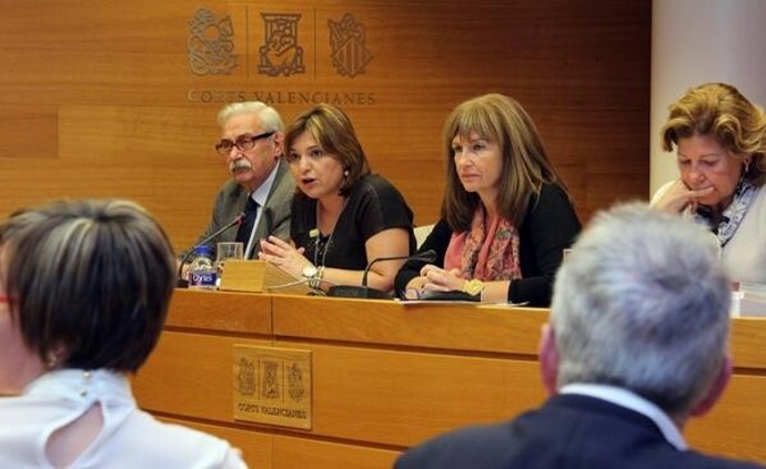 Bonig en su comparecencia en las corts
