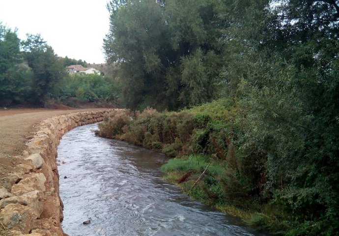 Actuación en Burbáguena