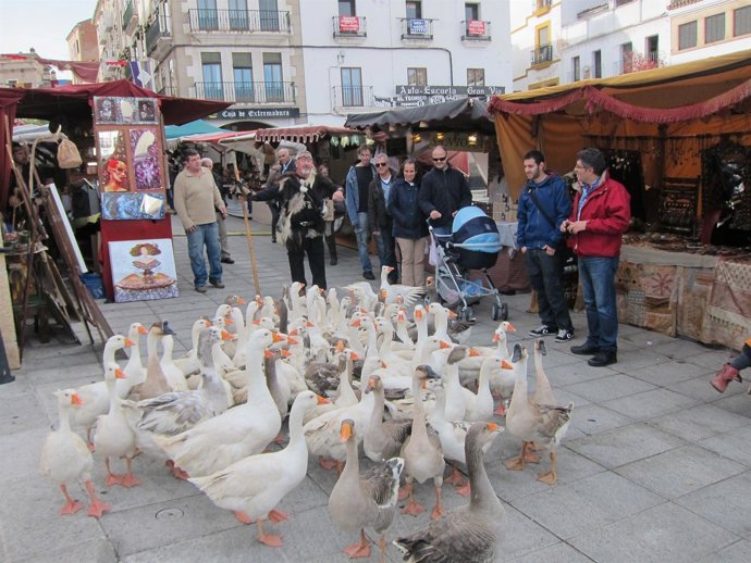 Medieval de las Tres Culturas de Cáceres 