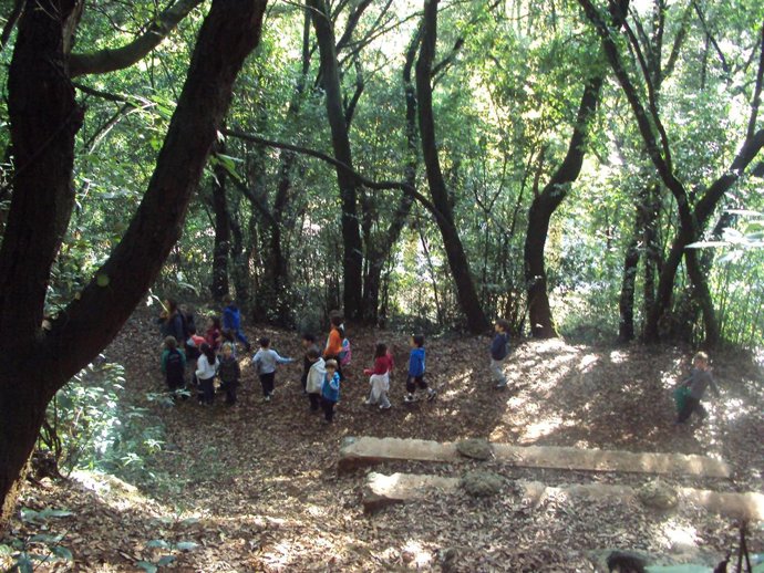 Escuela de Medio Ambiente