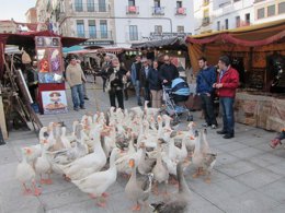 Medieval de las Tres Culturas de Cáceres 