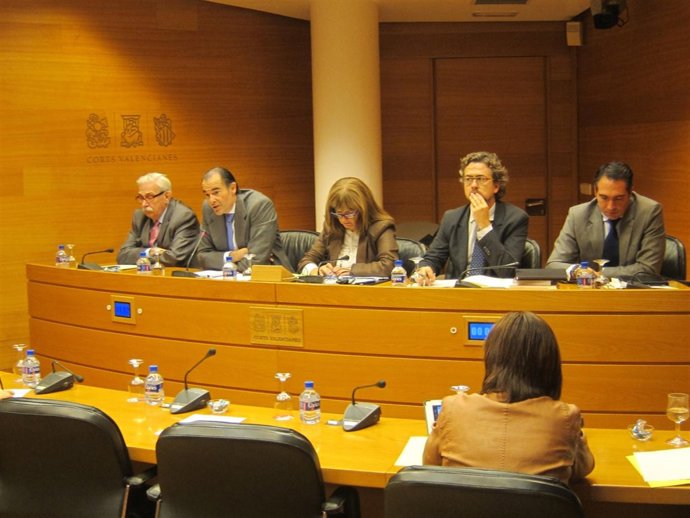 Llombart en la comparecencia en las Corts