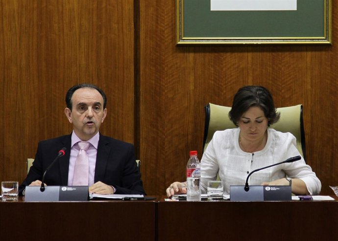 El consejero de Turismo y Comercio, Rafael Rodríguez, en comisión parlamentaria