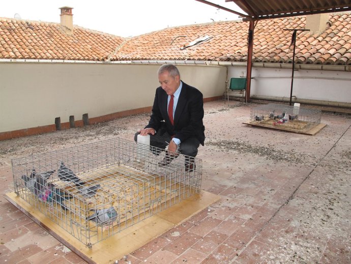 Una de las jaulas que se van a colocar