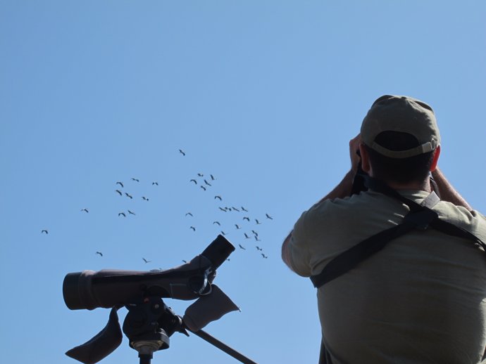 Un ornitólogo observa aves migratorias en el Collado de Lindus