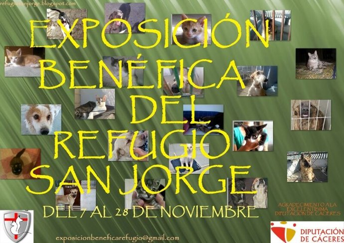 Cartel De Exposición De Refugio San Jorge En Cáceres