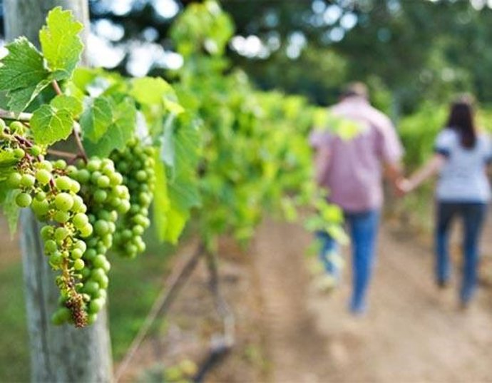 Día europeo del Enoturismo