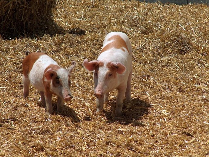 SARGA imparte un curso sobre normativa y gestión de residuos ganaderos.