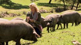 Ana Duato, 'Un país para comérselo', en Cáceres