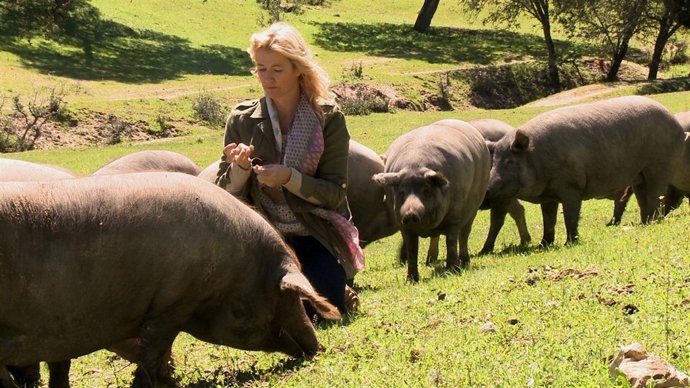 Ana Duato, 'Un país para comérselo', en Cáceres