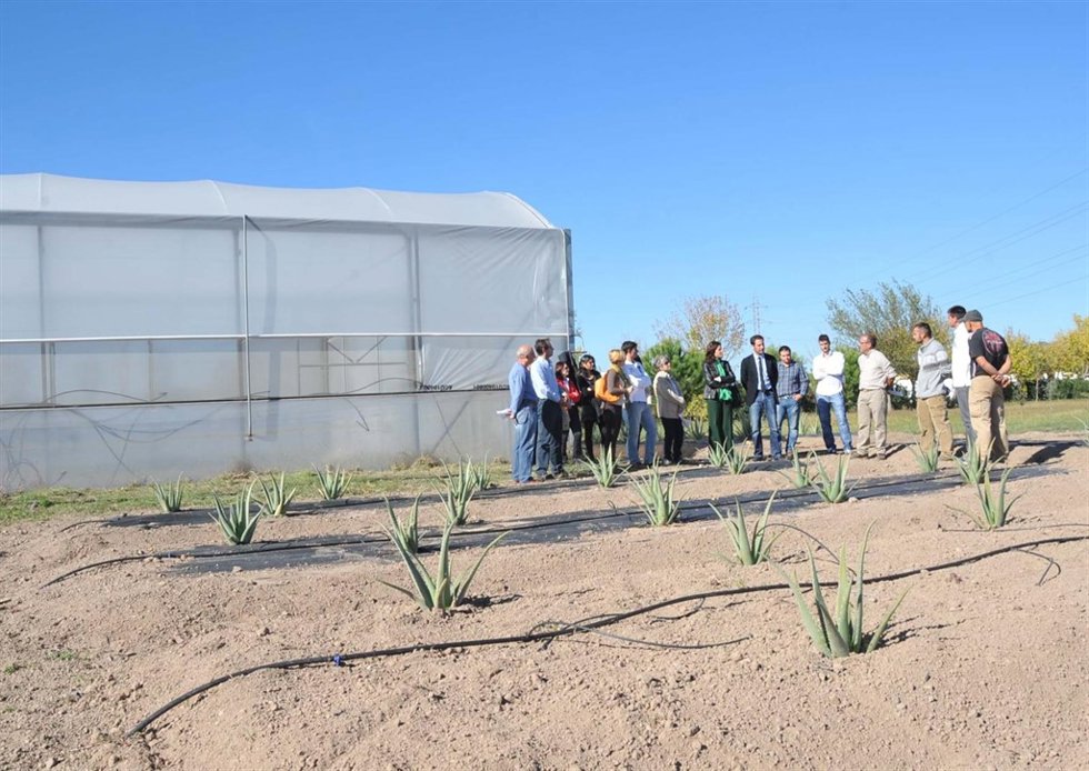 Visita a Finca de Encinarejo