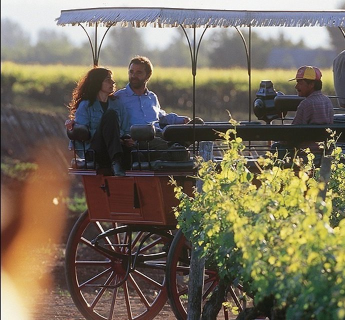 Paseo valle de colchagua