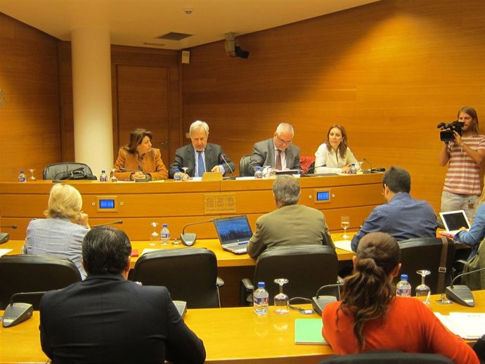 Comisión de Coordinación en las Corts