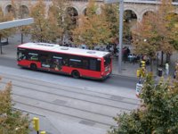 El Gobierno de Aragón permanecerá "al margen" del conflicto del bus