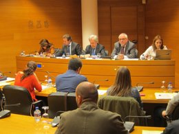 Comparecencia de García Ribot en las Corts