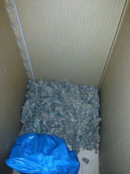 Desmantelado un laboratorio de marihuana en el Marítimo