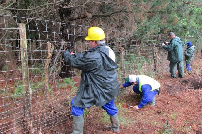 Actuación en el proyecto Dobra
