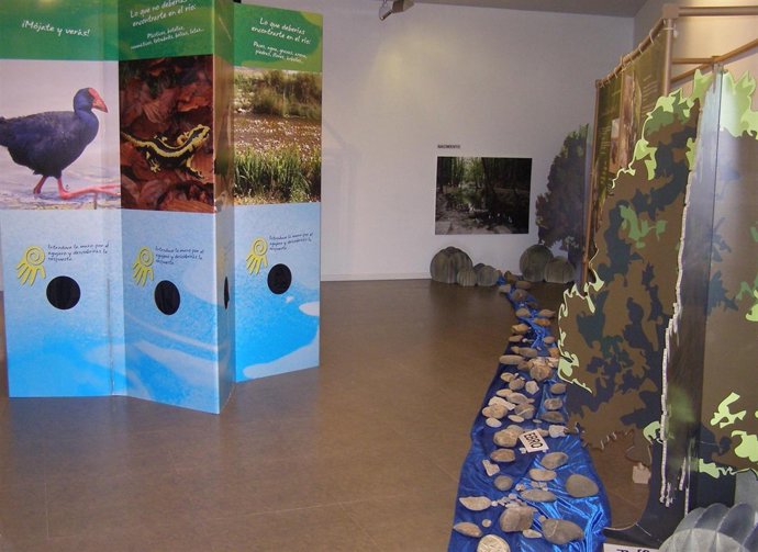  La Exposición También Ha Recibido La Visita De Numerosos Escolares