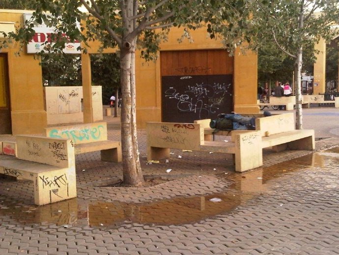 Estado de un grupo de bancos de la Alameda de Hércules.