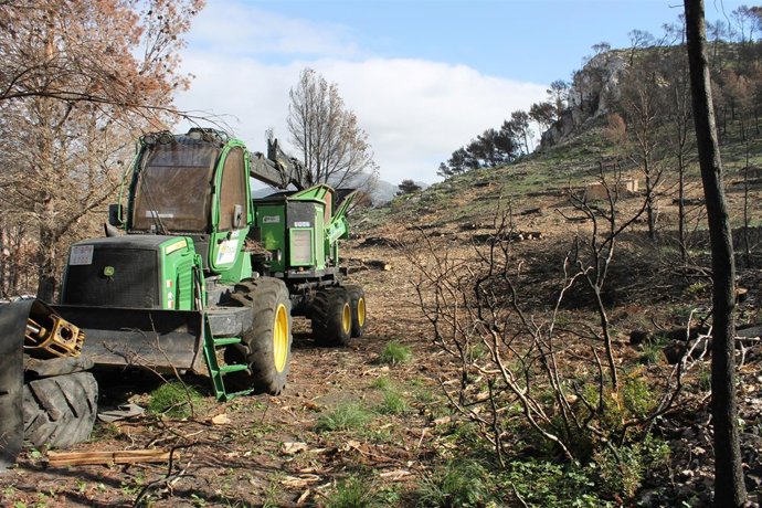 Trabajos de recuperación de la Serra de Tramuntana