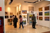 El festival de cine de turismo de naturaleza amplía sus categorías